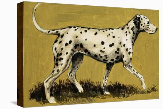 Dalmation Dog-English School-Premier Image Canvas