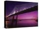 Dames Point Bridge, Jacksonville, Florida, USA-null-Premier Image Canvas