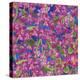 Dance Of Love- Pink Flowers Repeat-Carissa Luminess-Premier Image Canvas