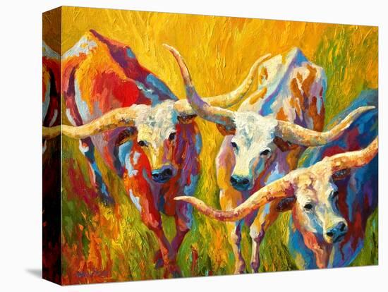 Dance Of The Longhorns-Marion Rose-Premier Image Canvas