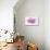 Dancing Flower Deep Pink Cosmos-Cora Niele-Premier Image Canvas displayed on a wall