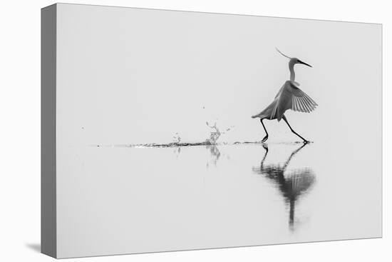 Dancing on the Water-mauro rossi-Premier Image Canvas