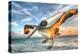 Dancing Pelican-Robert Goldwitz-Premier Image Canvas