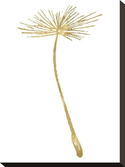 Dandelion 2 Golden White-Amy Brinkman-Stretched Canvas