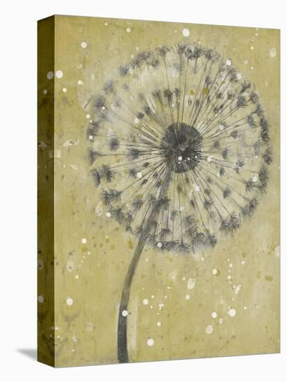 Dandelion Abstract I-Tim OToole-Stretched Canvas