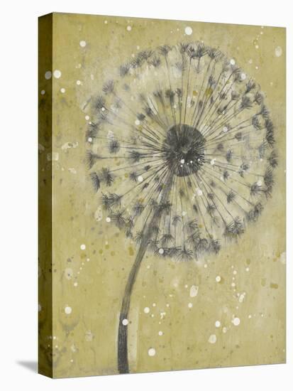 Dandelion Abstract I-Tim OToole-Stretched Canvas