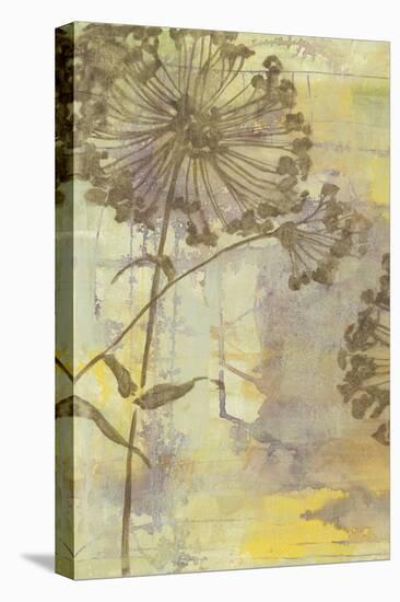 Dandelion Dance I-Jennifer Goldberger-Stretched Canvas