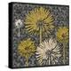 Dandelion on Interwoven Balls (Yellow)-Susan Clickner-Stretched Canvas