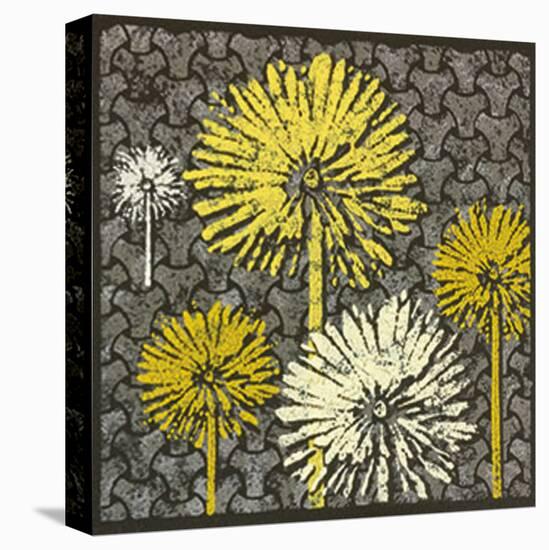 Dandelion on Interwoven Balls-Susan Clickner-Stretched Canvas