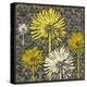 Dandelion on Interwoven Balls-Susan Clickner-Stretched Canvas