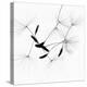 Dandelion Spores on White-Robert Cattan-Premier Image Canvas