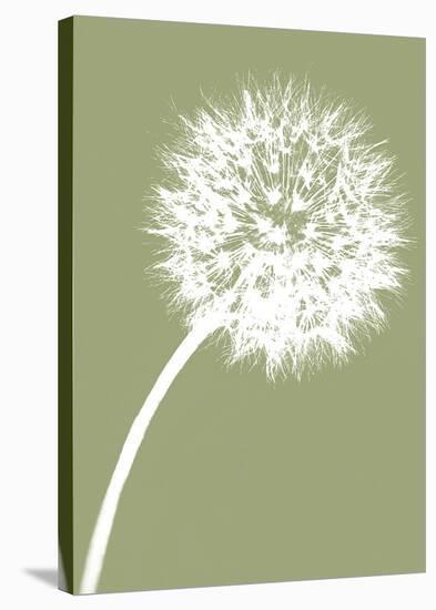 Dandelion Tilt (khaki)-Jenny Kraft-Stretched Canvas