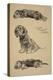 Dandie Dinmont Puppies, 1930, Just Among Friends, Aldin, Cecil Charles Windsor-Cecil Aldin-Premier Image Canvas