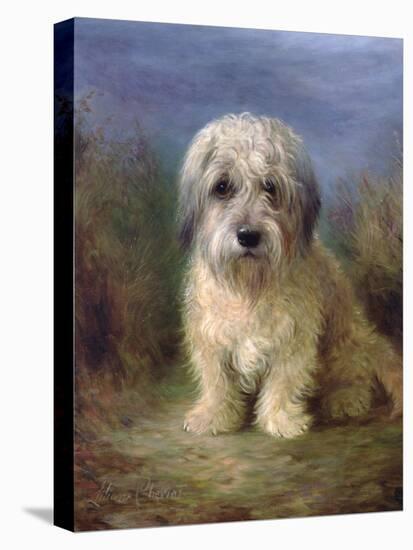 Dandie Dinmont Terrier-Lilian Cheviot-Premier Image Canvas