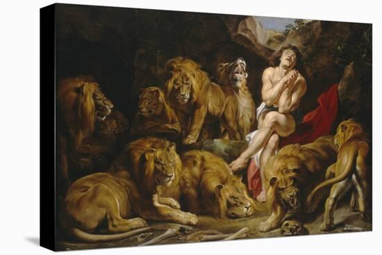 Daniel in the Lions' Den, 1614-1616-Peter Paul Rubens-Stretched Canvas