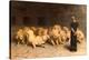 Daniel in the Lions' Den, 1872-Briton Rivi?re-Premier Image Canvas