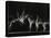 Danish Gymnasts-Gjon Mili-Premier Image Canvas