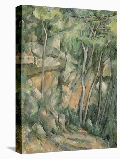 Dans le parc de Château-Noir-Paul Cézanne-Premier Image Canvas