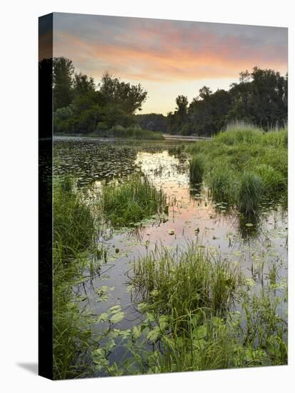 Danube-Auen National Park, Near Orth on the Danube, Lower Austria, Austria-Rainer Mirau-Premier Image Canvas