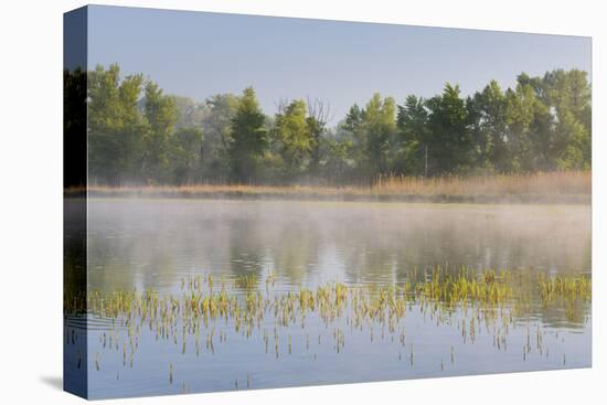Danube Meadows, Austria-Rainer Mirau-Premier Image Canvas