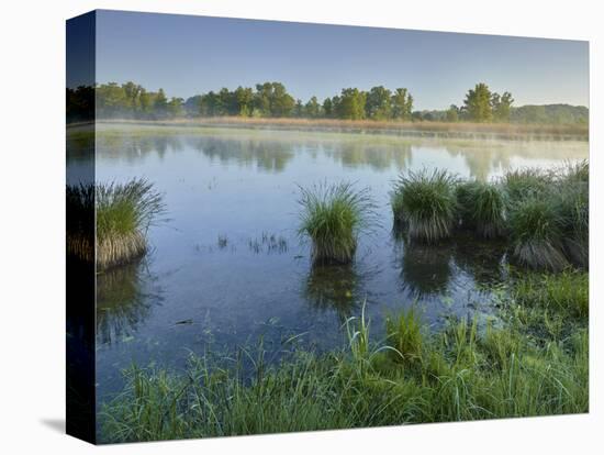 Danube Meadows, Austria-Rainer Mirau-Premier Image Canvas