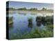 Danube Meadows, Austria-Rainer Mirau-Premier Image Canvas