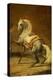 Dappled Grey Horse-Théodore Géricault-Premier Image Canvas