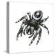 Daring Jumping Spider (Phidippus Audax), Arachnids-Encyclopaedia Britannica-Stretched Canvas