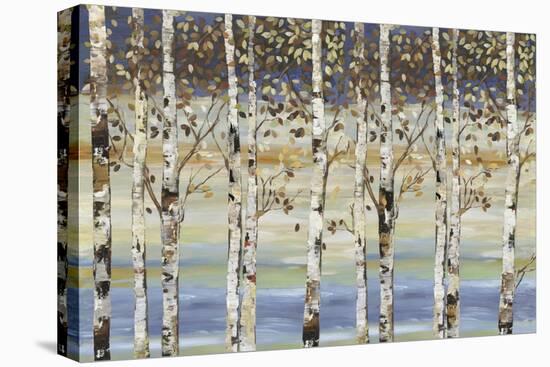 Dark Birch III-Allison Pearce-Stretched Canvas