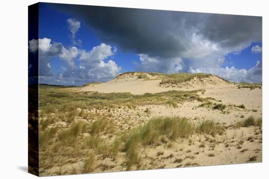 Dark Clouds over the Dune Landscape on the Big Drifting Dune at Listland-Uwe Steffens-Premier Image Canvas