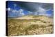 Dark Clouds over the Dune Landscape on the Big Drifting Dune at Listland-Uwe Steffens-Premier Image Canvas