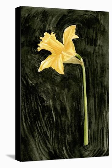 Dark Daffodils I-Emma Caroline-Stretched Canvas