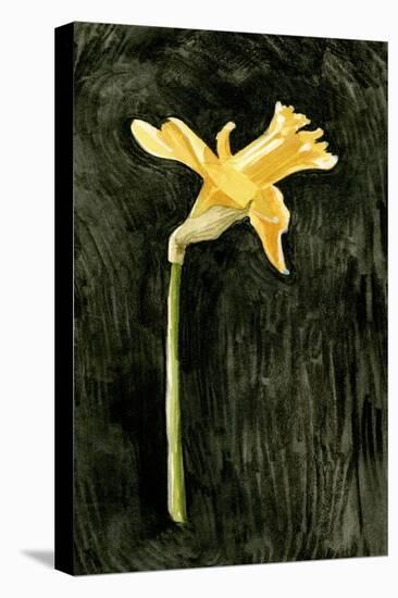 Dark Daffodils II-Emma Caroline-Stretched Canvas