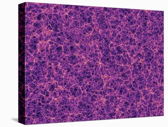 Dark Matter Distribution-Volker Springel-Premier Image Canvas