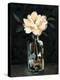 Dark Rose Arrangement I-Emma Caroline-Stretched Canvas