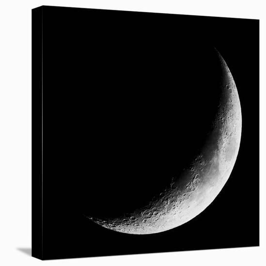 Dark Side Of The Moon-Marcus Prime-Premier Image Canvas