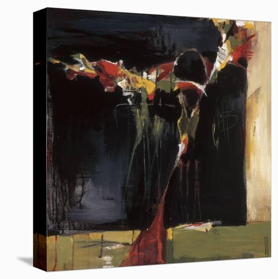 Dark Still Life-Terri Burris-Stretched Canvas