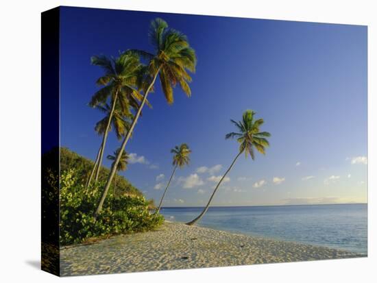 Darkwood Beach, Antigua, Caribbean, West Indies-John Miller-Premier Image Canvas