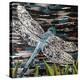Dart - Emperor Dragonfly at Riverside-Kirstie Adamson-Premier Image Canvas
