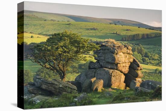 Dartmoor Moorland and Countryside in Summer Time, Saddle Tor, Dartmoor, Devon, England. July-Adam Burton-Premier Image Canvas