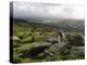 Dartmoor, View Southeast from Bonehill Rocks, Devon, England, United Kingdom, Europe-Lomax David-Premier Image Canvas