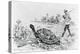 Darwin Testing the Speed of an Elephant Tortoise (Galapagos Islands) by Meredith Nugent-null-Premier Image Canvas