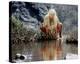 Daryl Hannah - The Clan of the Cave Bear-null-Stretched Canvas