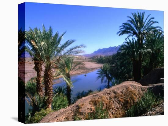 Date Palms in the Draa Valley, Draa Valley, Ouarzazate, Morocco-John Elk III-Premier Image Canvas