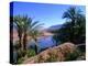 Date Palms in the Draa Valley, Draa Valley, Ouarzazate, Morocco-John Elk III-Premier Image Canvas