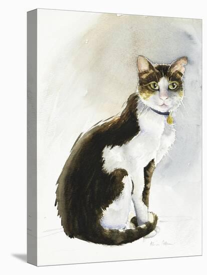 Dave the Saudi Cat, 2019 (Watercolour)-Alison Cooper-Premier Image Canvas