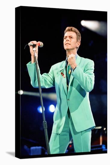 David Bowie at Freddie Mercury Tribute Concert for AIDS Awareness, Wembley Stadium, April 1992-null-Premier Image Canvas