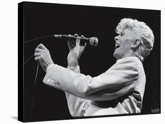 David Bowie Performing at Madison Square Garden-null-Premier Image Canvas