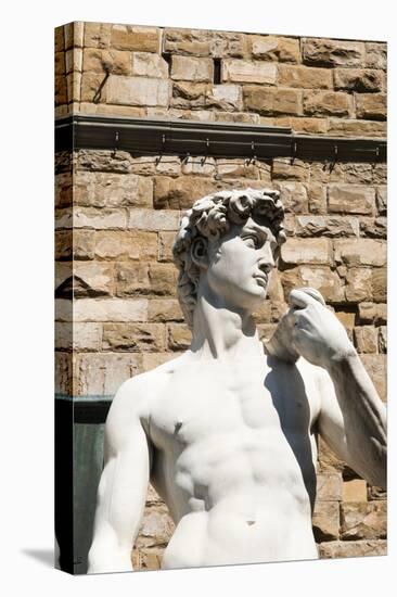 David by Michelangelo Dating from the 16th Century, Piazza Della Signoria, Florence (Firenze)-Nico Tondini-Premier Image Canvas
