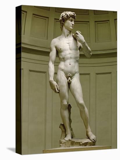 David: Frontal View-Michelangelo Buonarroti-Premier Image Canvas